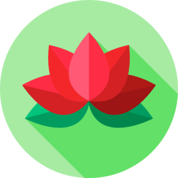 005 lotus