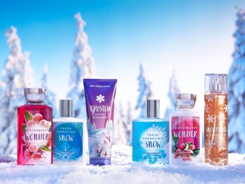 Bath and body works holiday collection